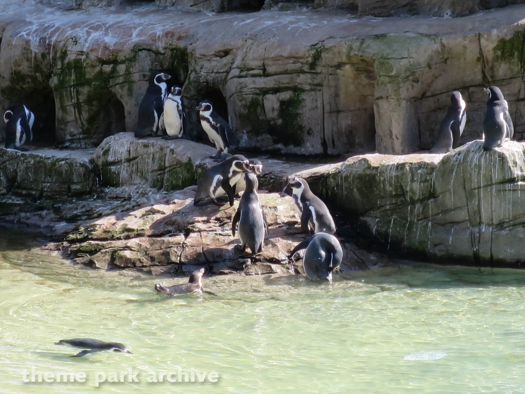 Zoo at Flamingo Land