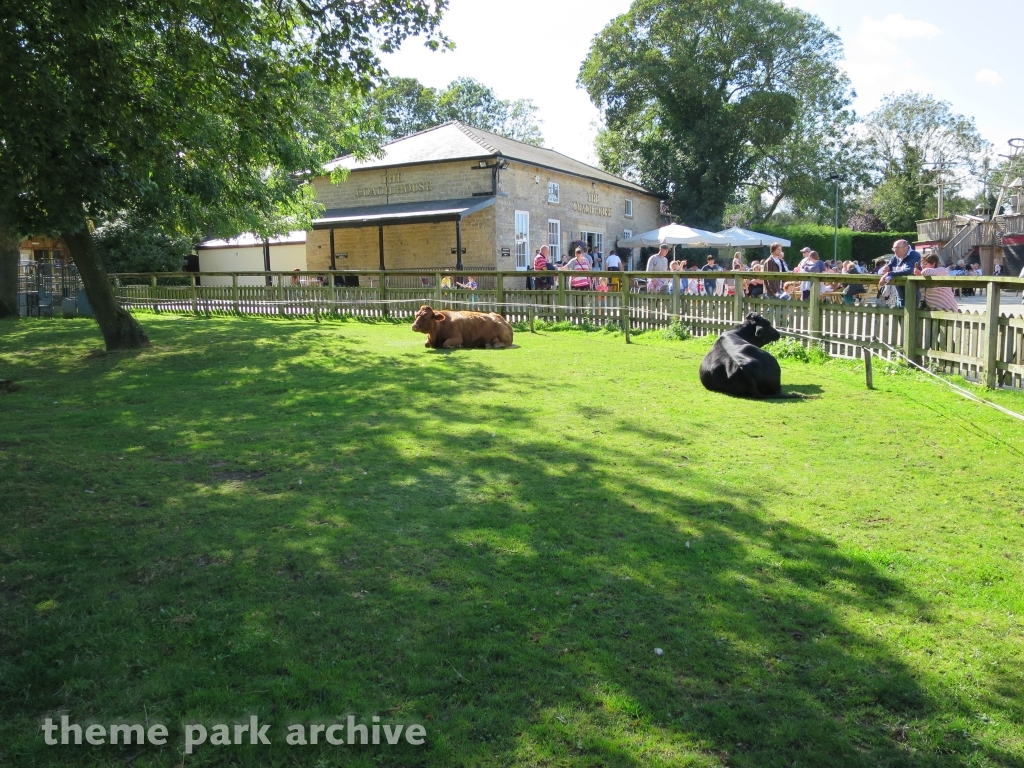 Muddy Duck Farm at Flamingo Land