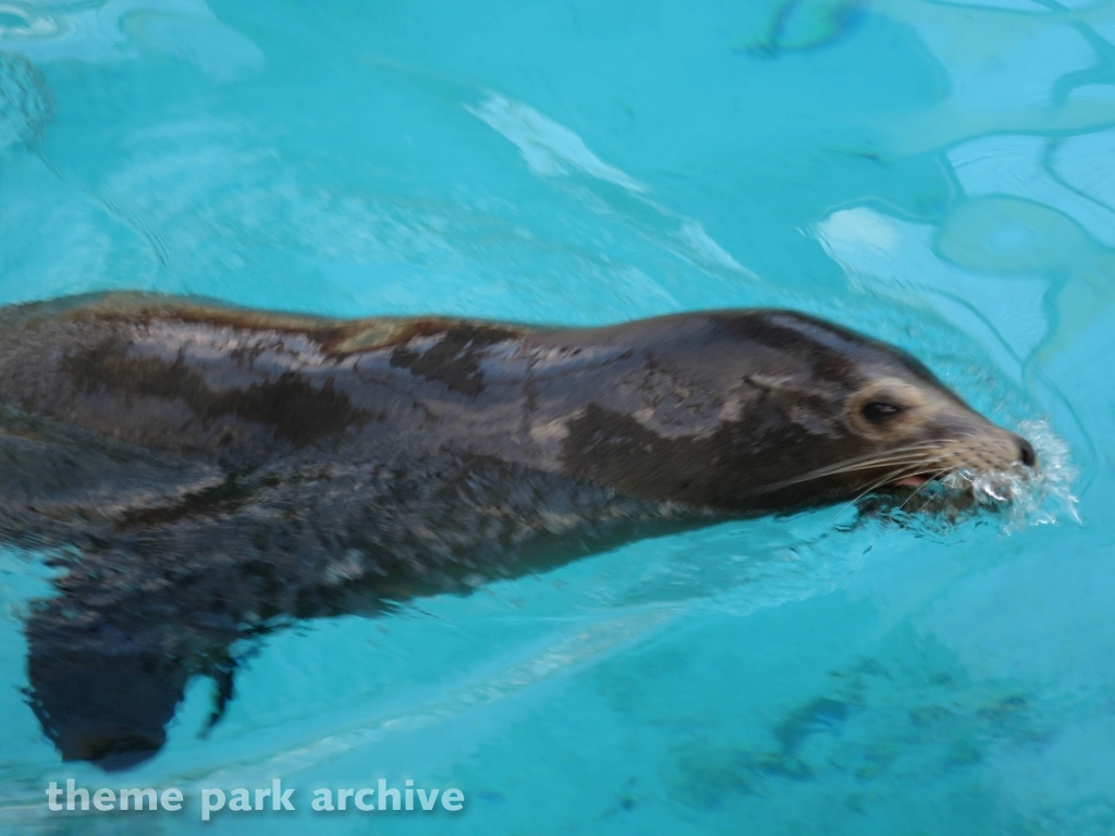 Zoo at Flamingo Land