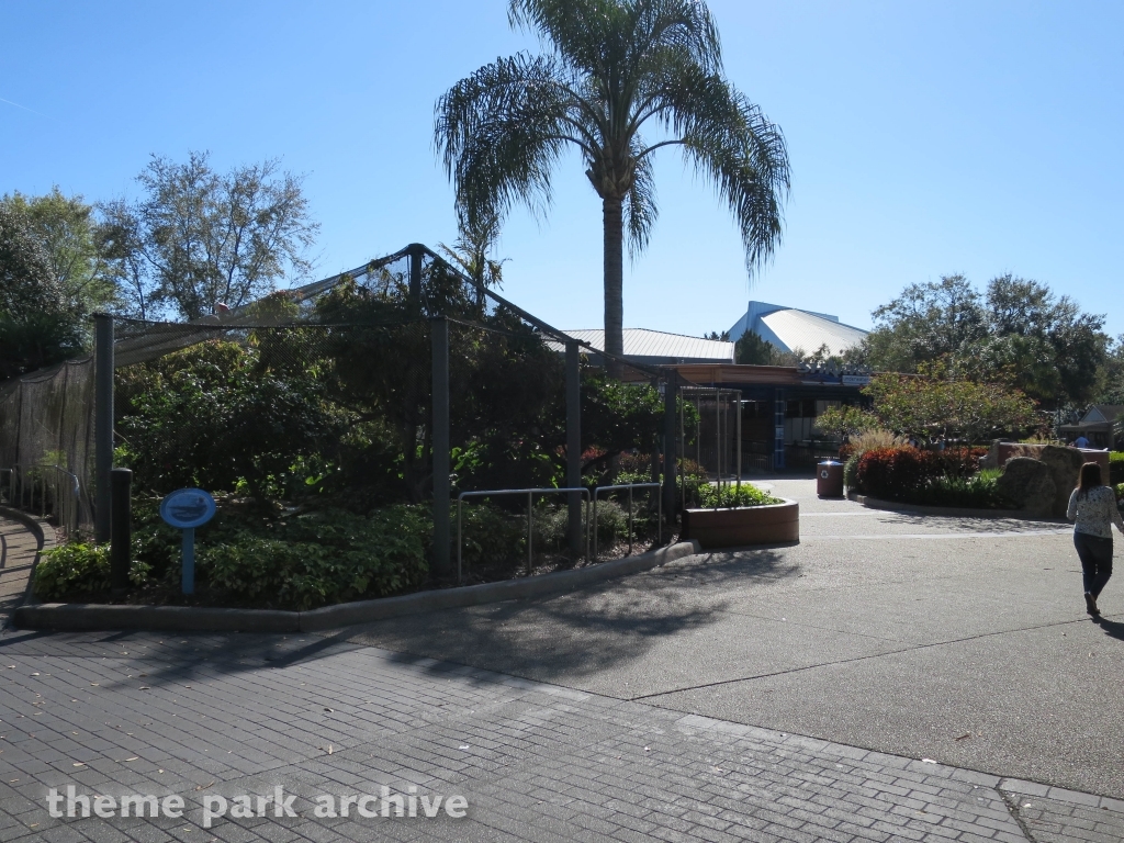 Shark Encounter at SeaWorld Orlando