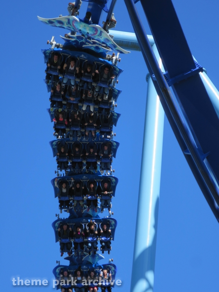 Manta at SeaWorld Orlando