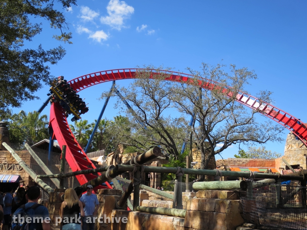 Sheikra at Busch Gardens Tampa