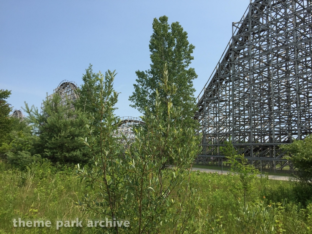 Wolverine Wildcat at Michigan's Adventure