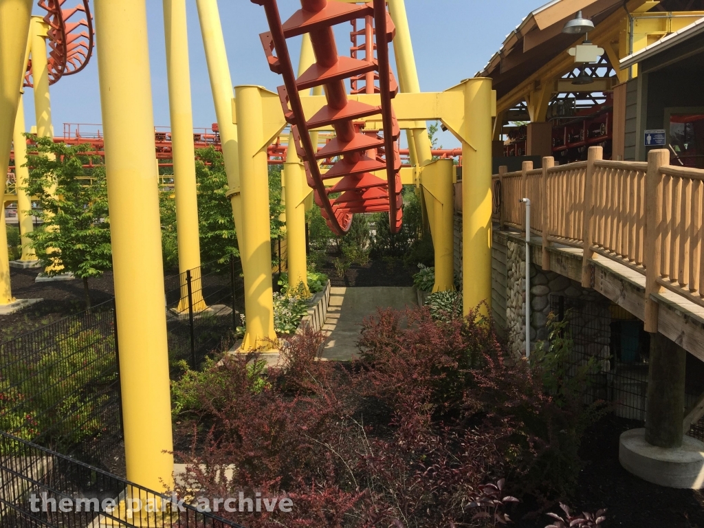 Thunderhawk at Michigan's Adventure