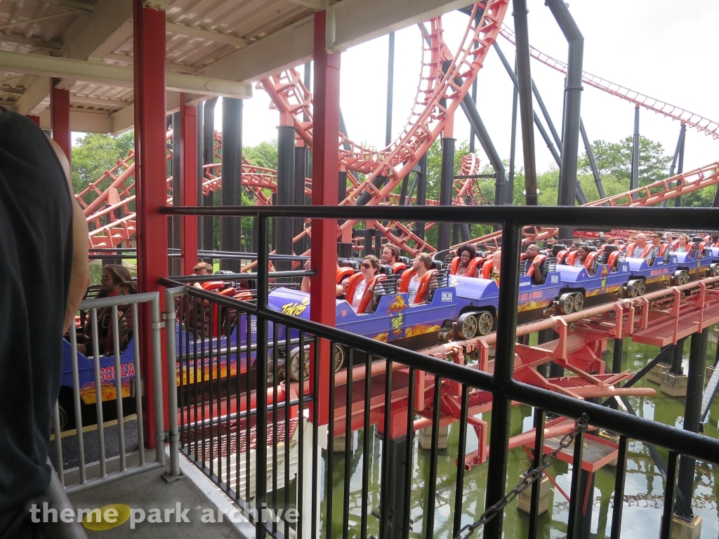 Blue Hawk at Six Flags Over Georgia