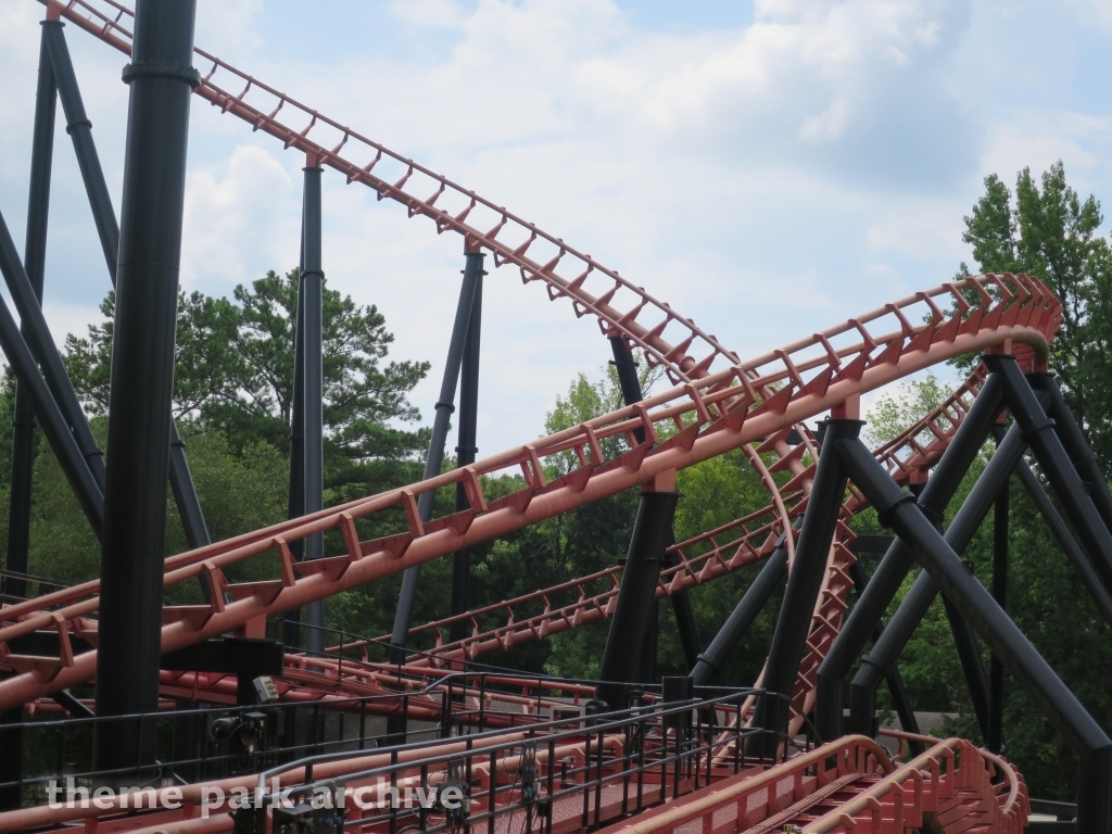 Blue Hawk at Six Flags Over Georgia