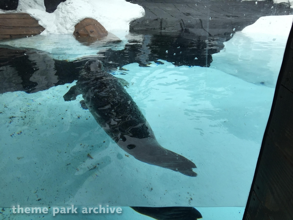 Wild Arctic at SeaWorld San Diego