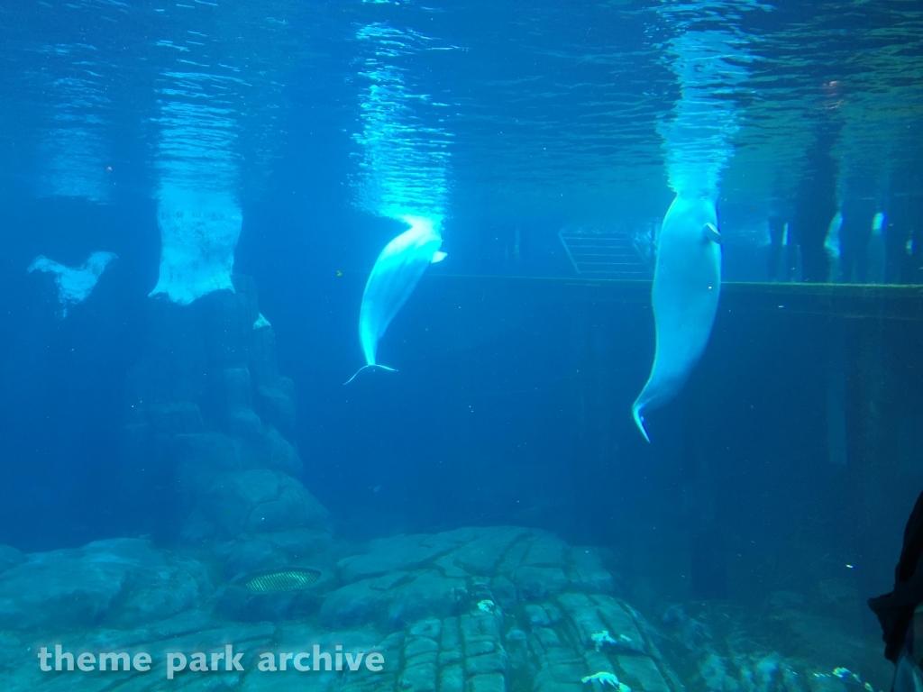 Wild Arctic at SeaWorld San Diego