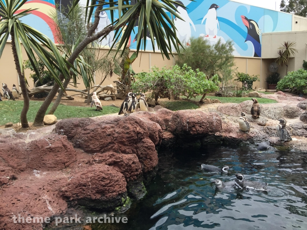 Penguin Encounter at SeaWorld San Diego