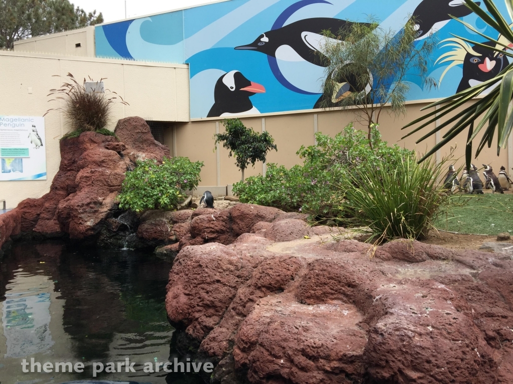 Penguin Encounter at SeaWorld San Diego