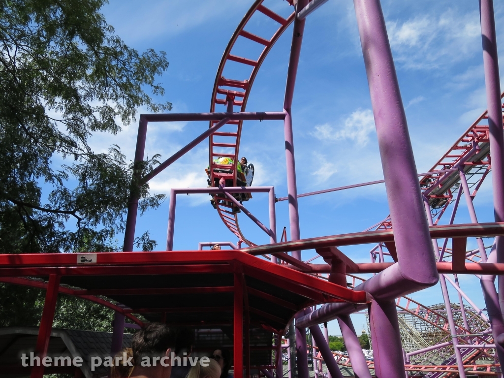 Spider at Lagoon