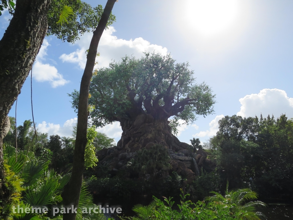 Discovery Island at Disney's Animal Kingdom