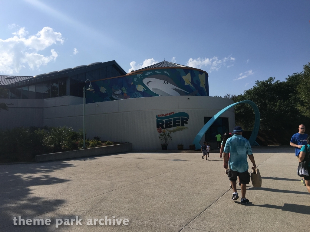 Sharks   The Coral Reef at SeaWorld San Antonio