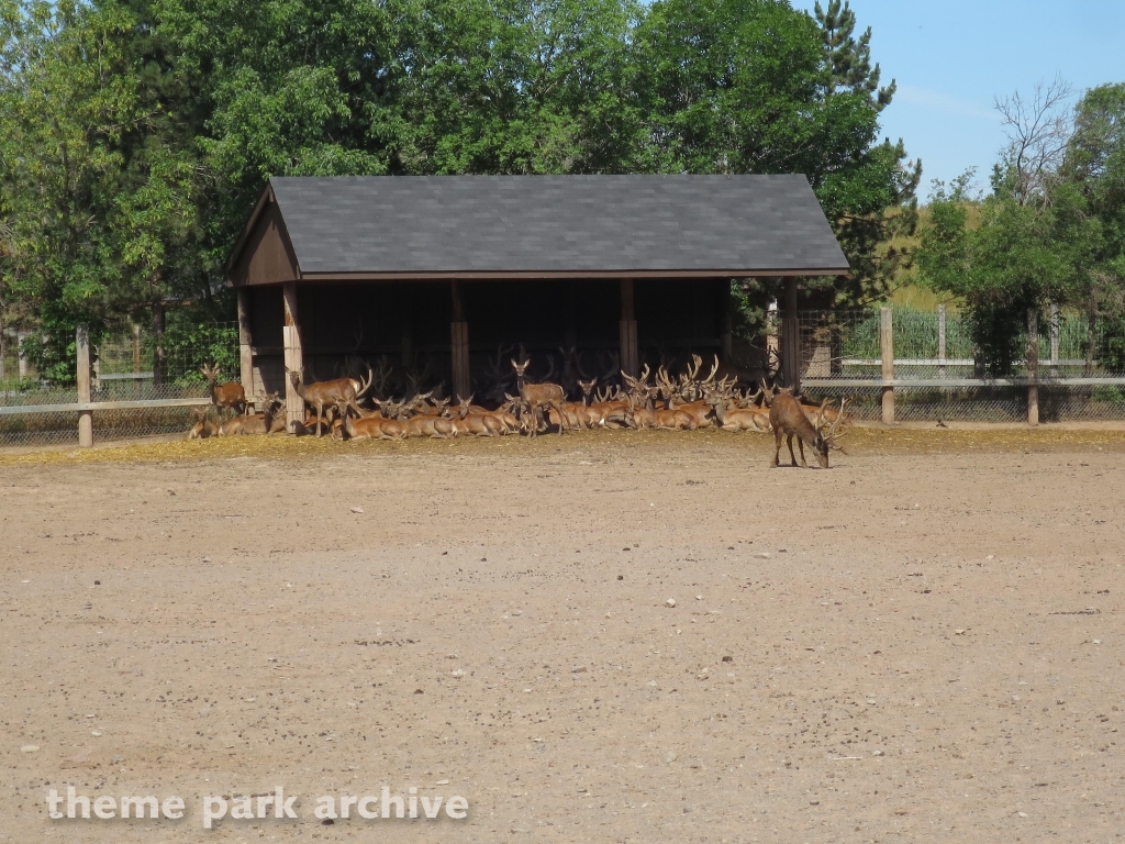 Misc at Marineland