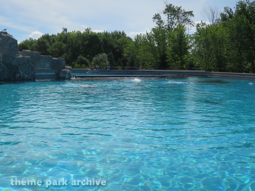 Arctic Cove at Marineland