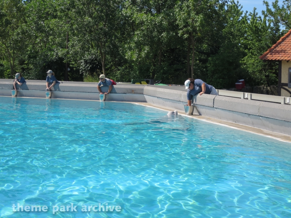 Arctic Cove at Marineland