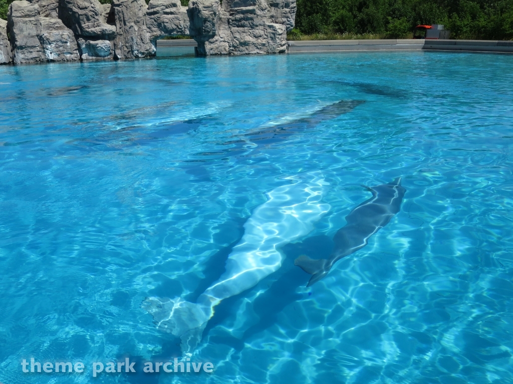 Arctic Cove at Marineland