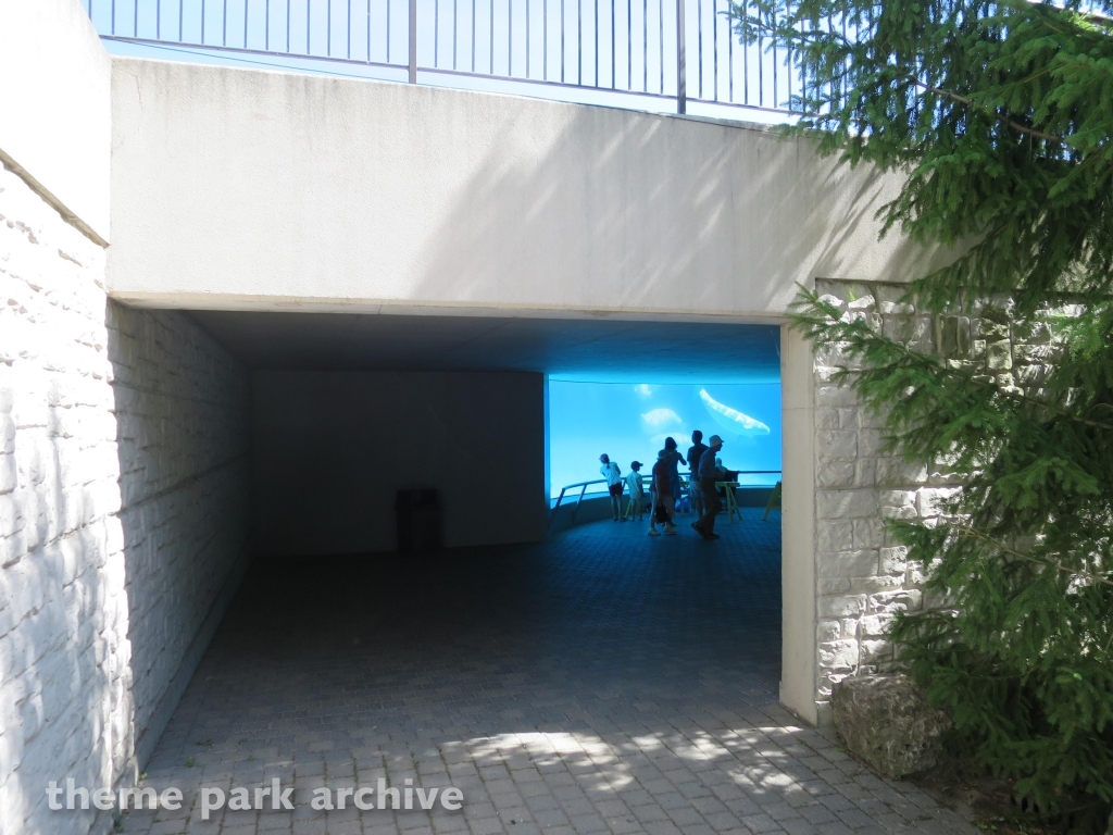 Arctic Cove at Marineland