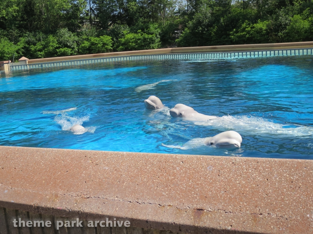 Friendship Cove at Marineland