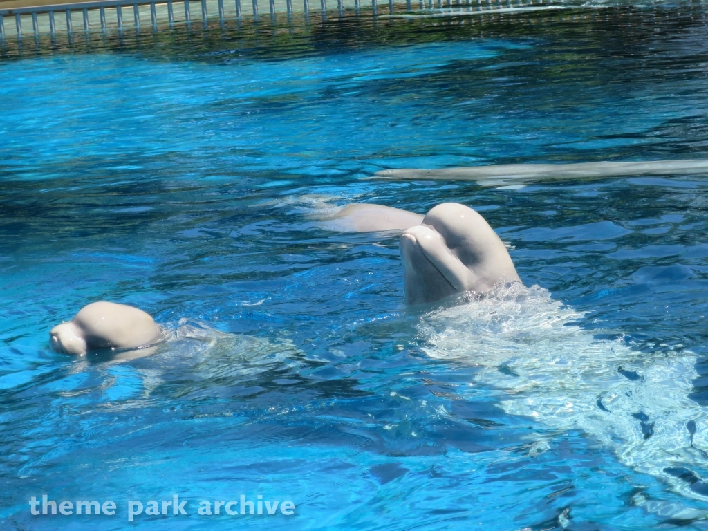 Friendship Cove at Marineland