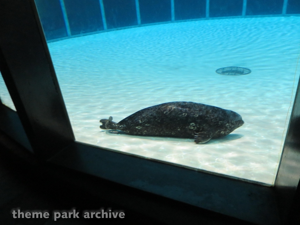 Aquarium at Marineland