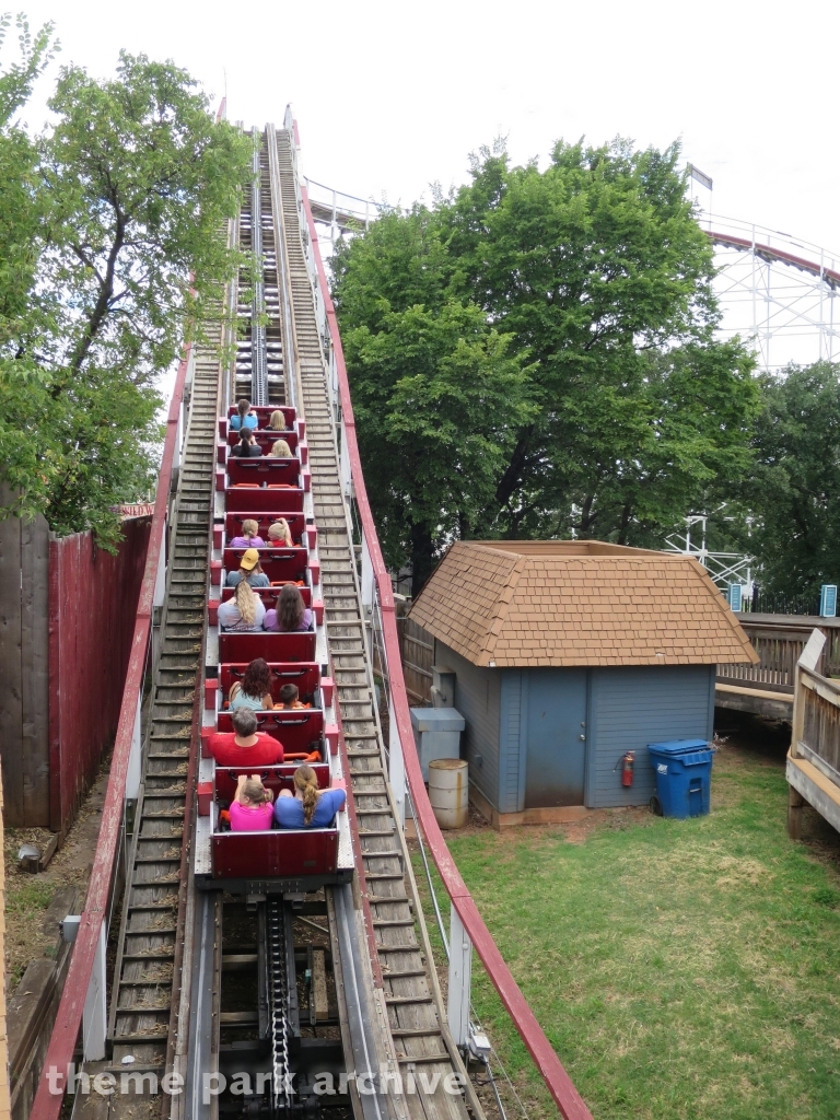 Wildcat at Frontier City