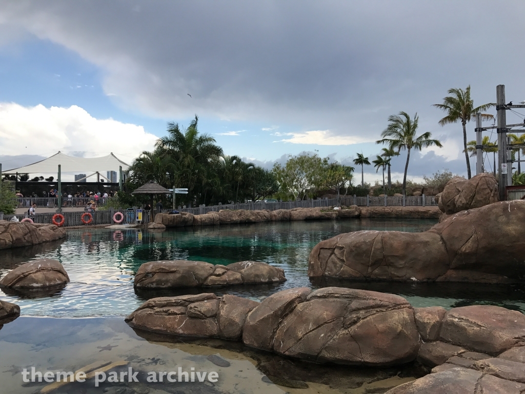 Shark Bay at Sea World Gold Coast