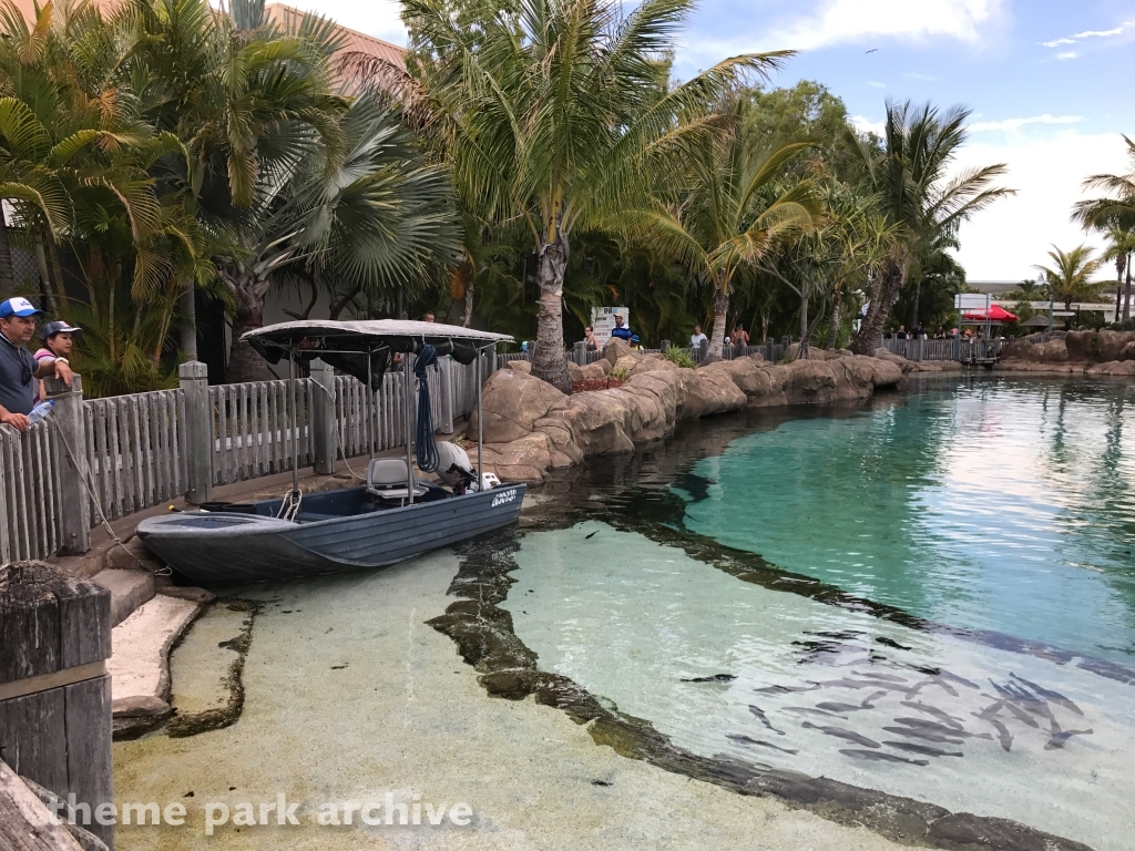 Shark Bay at Sea World Gold Coast