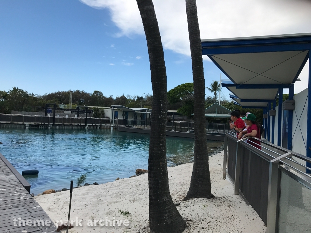 Seal Harbour at Sea World Gold Coast