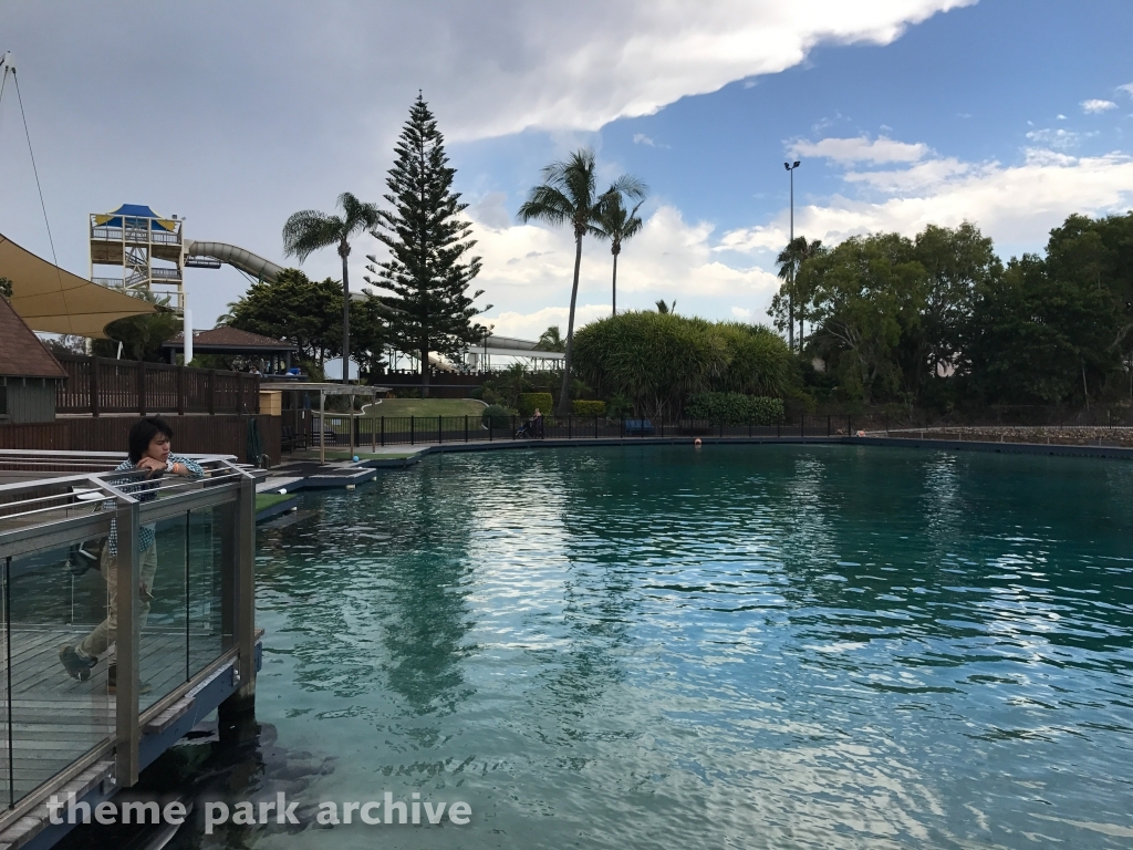 Seal Harbour at Sea World Gold Coast