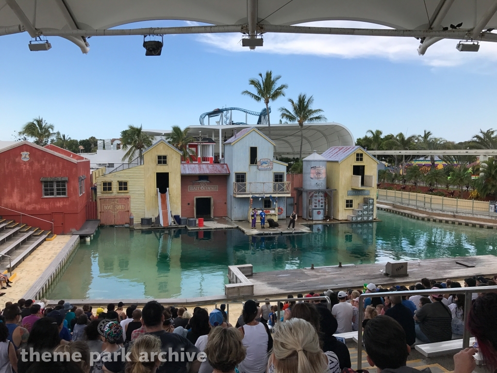 Seal Guardians at Sea World Gold Coast