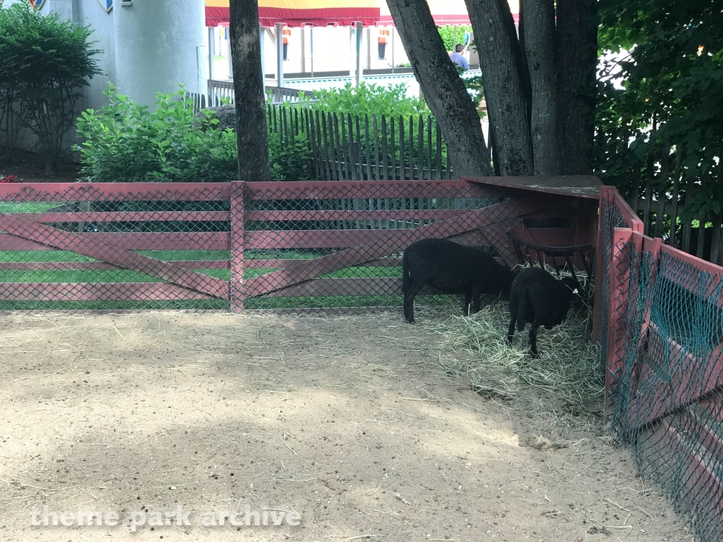 Storybook Forest at Story Land