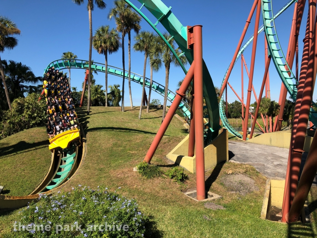 Kumba At Busch Gardens Tampa Theme Park Archive