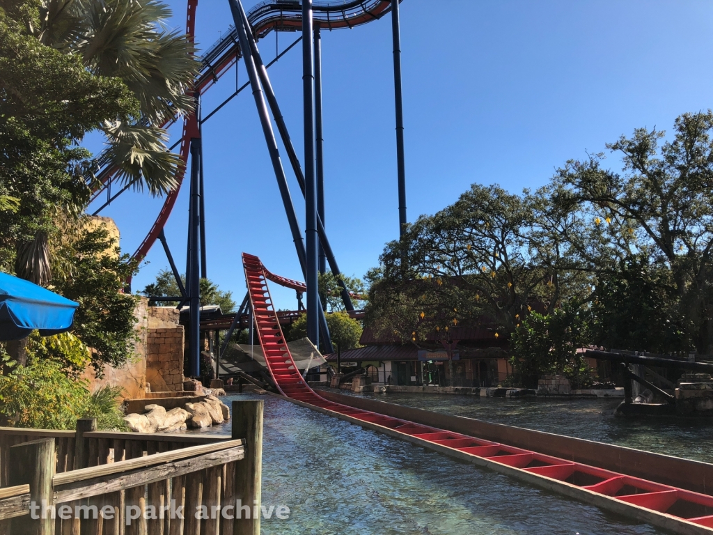 Sheikra at Busch Gardens Tampa