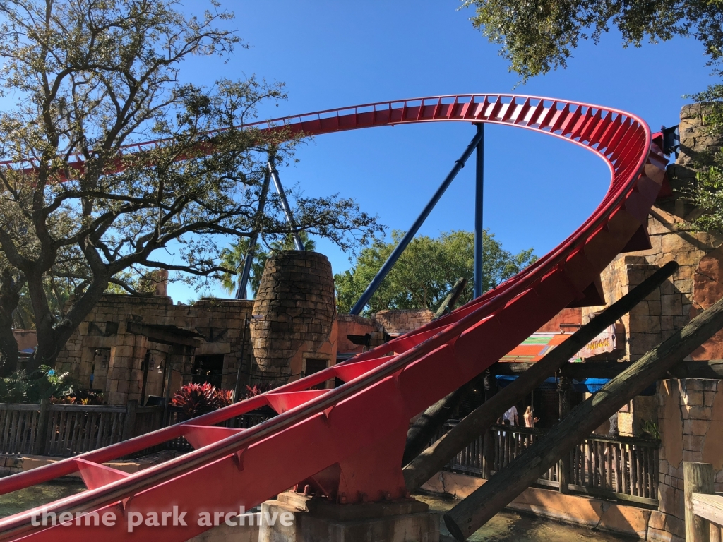 Sheikra at Busch Gardens Tampa