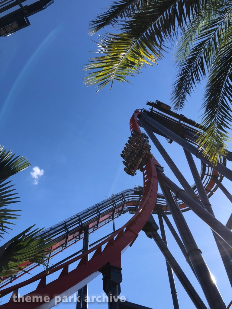 Sheikra at Busch Gardens Tampa