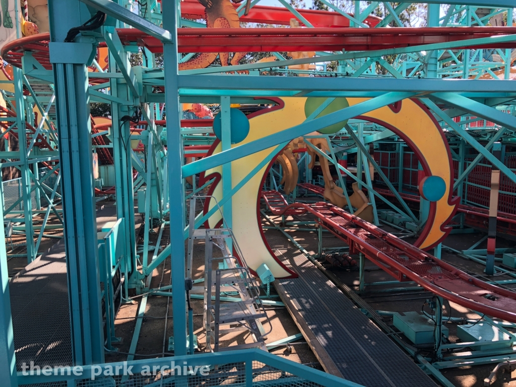 Primeval Whirl at Disney's Animal Kingdom