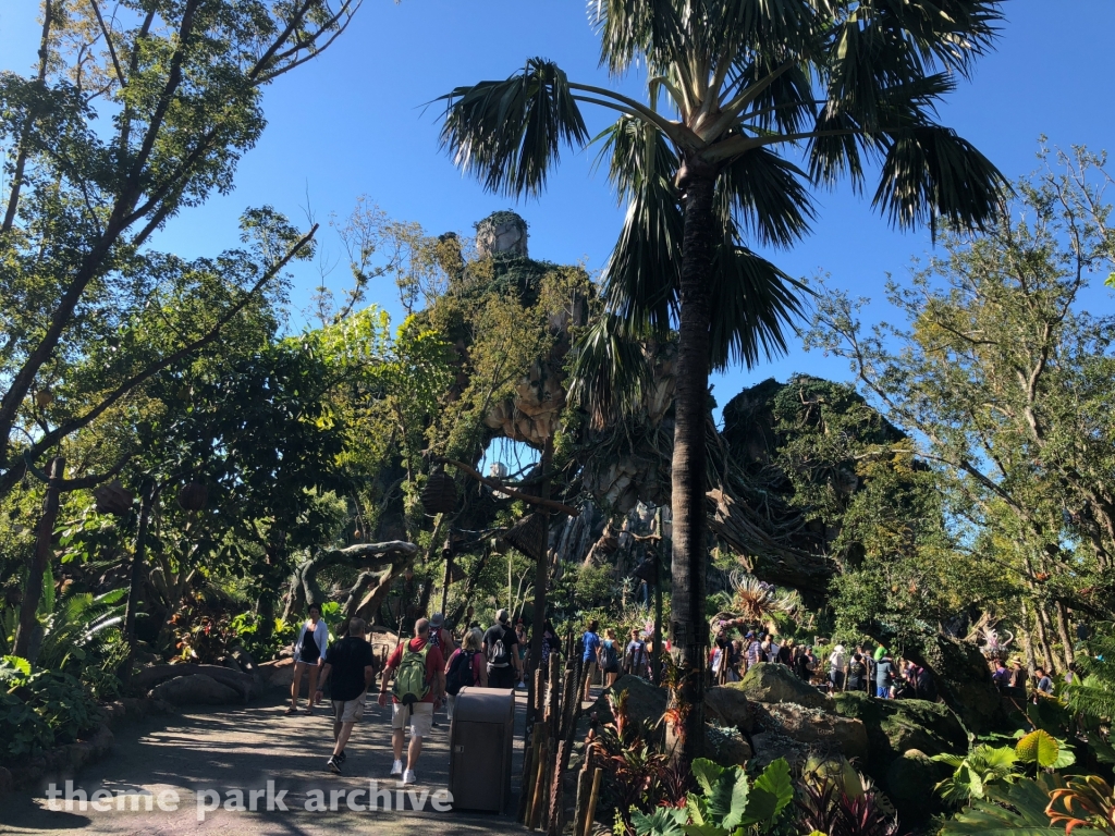 Pandora: The World of Avatar at Disney's Animal Kingdom