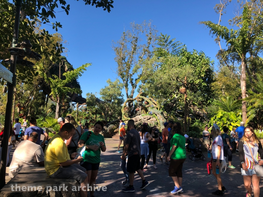 Pandora: The World of Avatar at Disney's Animal Kingdom