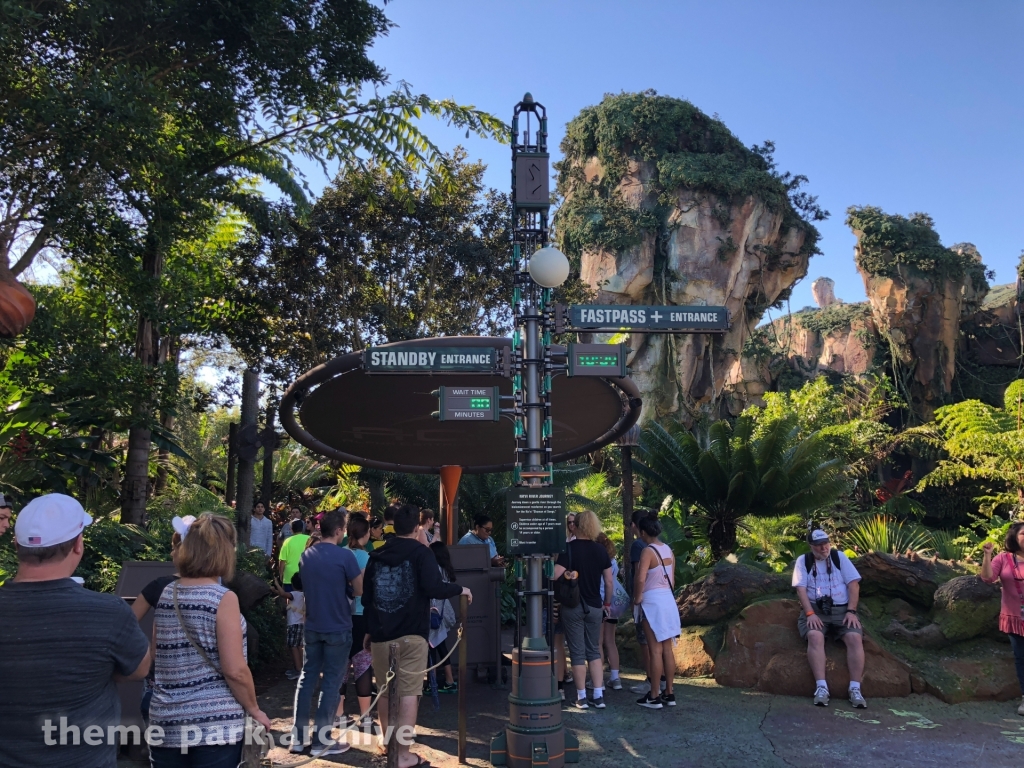 Avatar Flight of Passage at Disney's Animal Kingdom