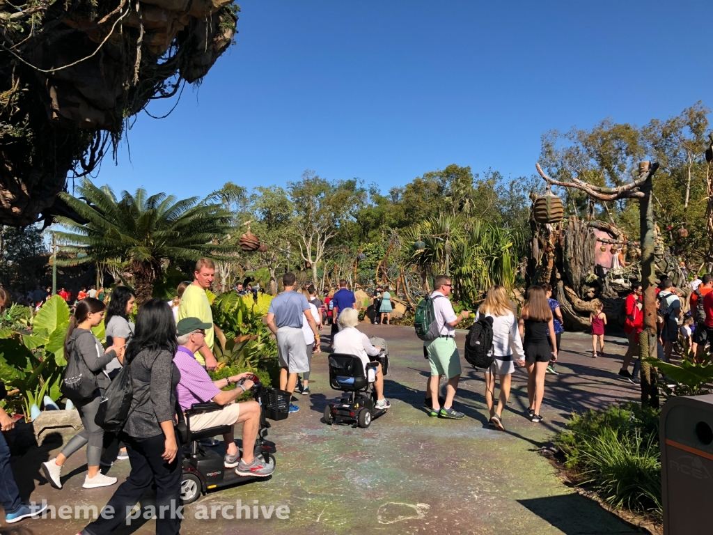 Pandora: The World of Avatar at Disney's Animal Kingdom