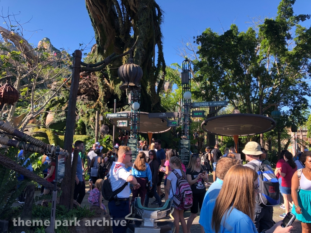 Avatar Flight of Passage at Disney's Animal Kingdom