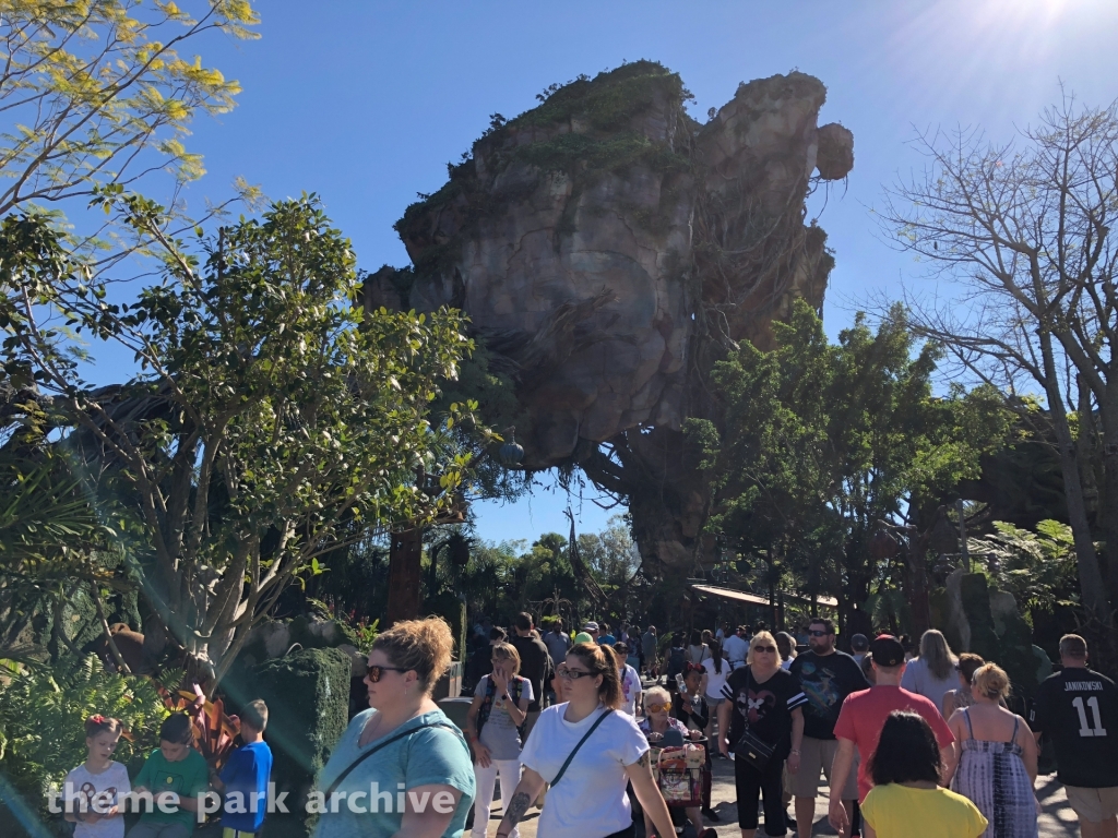 Pandora: The World of Avatar at Disney's Animal Kingdom