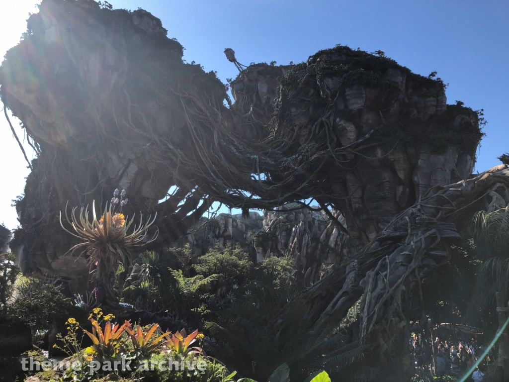 Pandora: The World of Avatar at Disney's Animal Kingdom