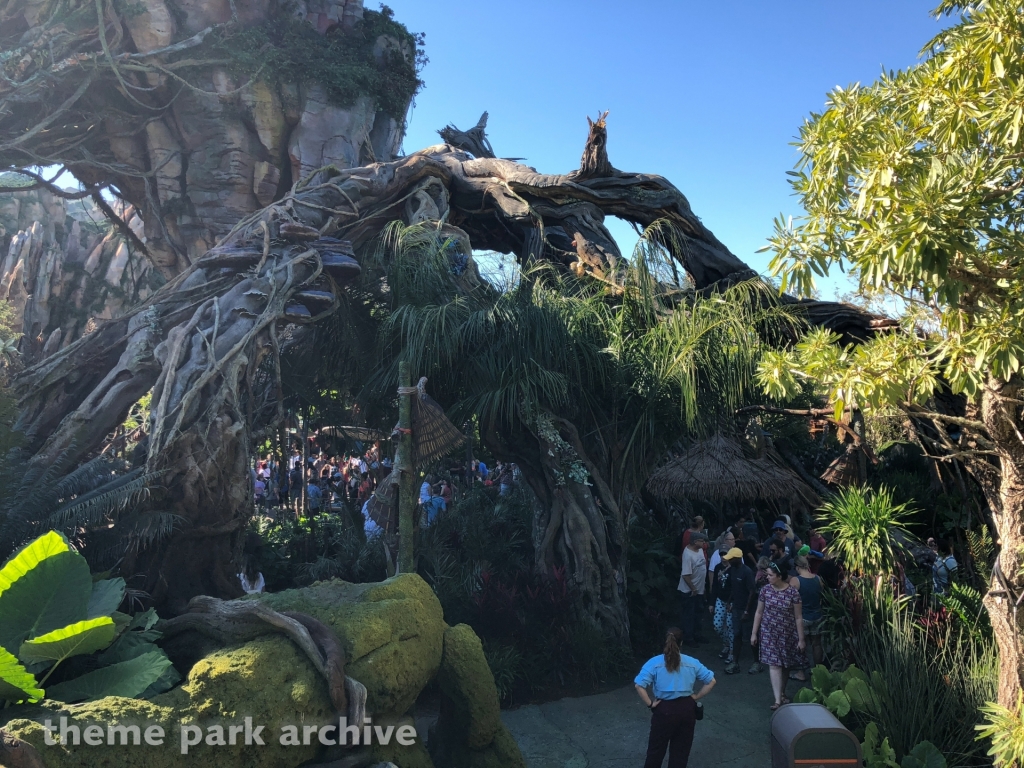 Pandora: The World of Avatar at Disney's Animal Kingdom