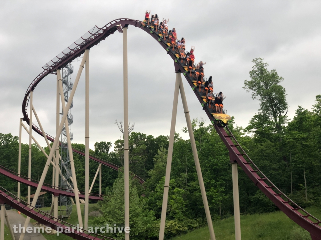 Diamondback at Kings Island