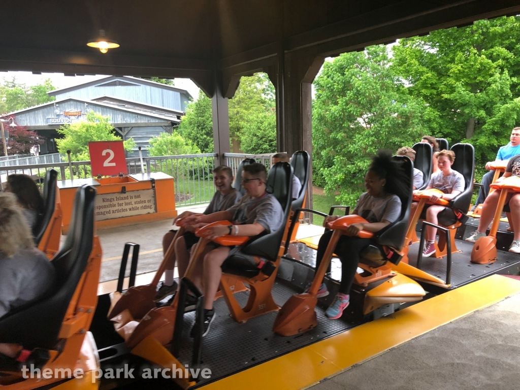 Diamondback at Kings Island