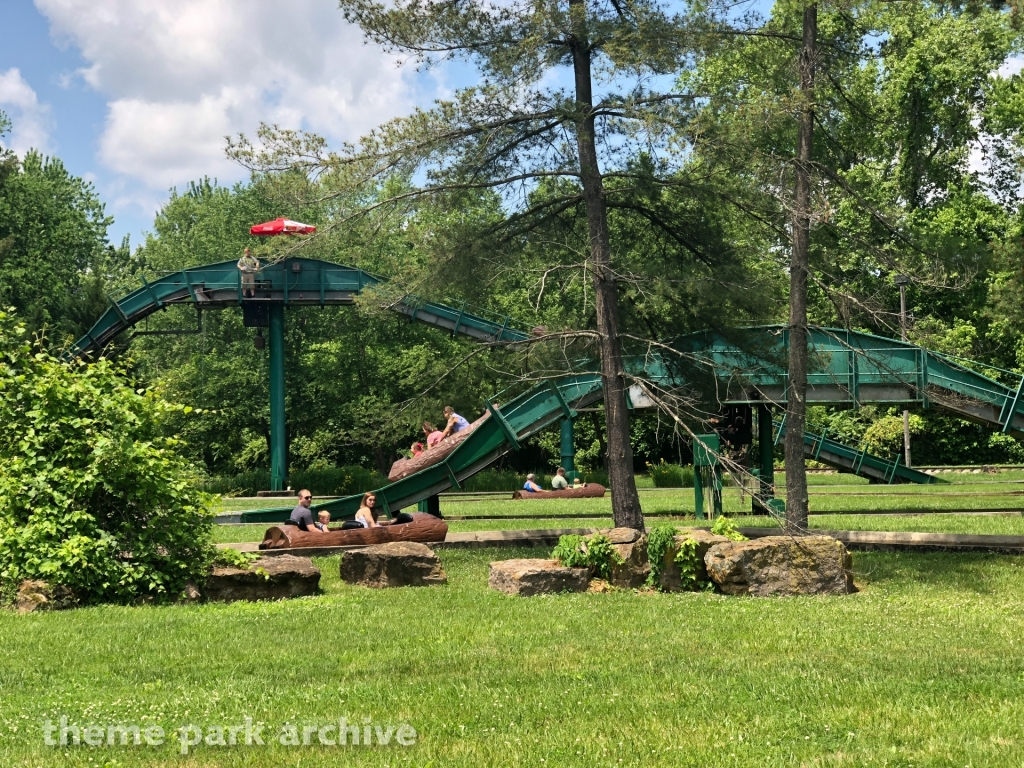 Log Flume at Camden Park