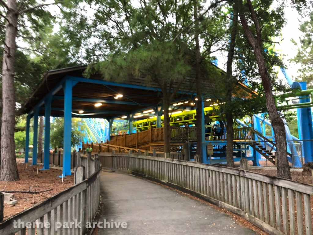 Twisted Typhoon at Wild Adventures