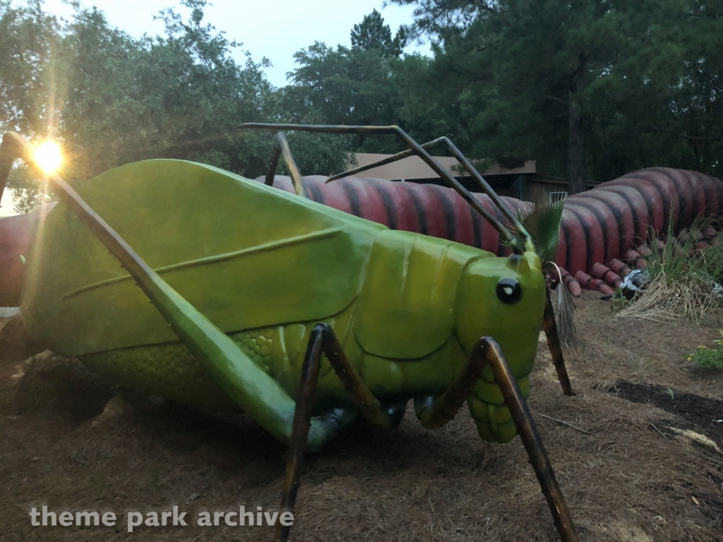 Mega Bugs at Wild Adventures